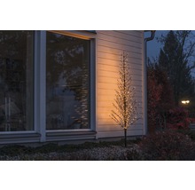Beleuchteter Deko-Baum vor einem Haus im Außenbereich.