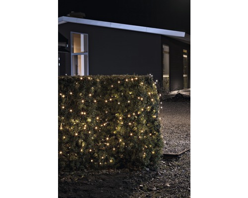 Hecke mit Lichterkette vor Haus