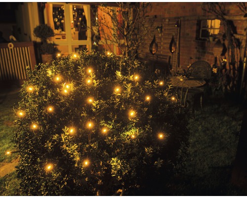 Beleuchteter Busch mit Lichtern im Garten bei Nacht.