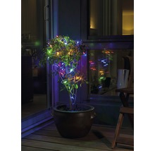 Pflanze im Topf mit mehrfarbiger Lichterkette auf einer Terrasse