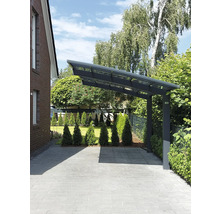 Modernes Carport aus Metall und Glas neben einem Haus mit gepflasterter Einfahrt und Garten