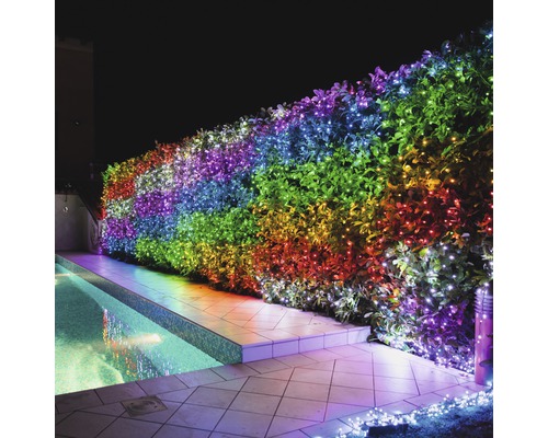 Gartenhecke mit bunter Lichterkette neben Pool