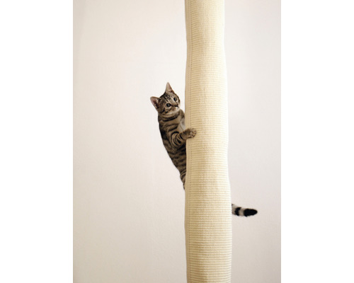 Gestreifte Katze klettert an einem Kratzbaum hoch