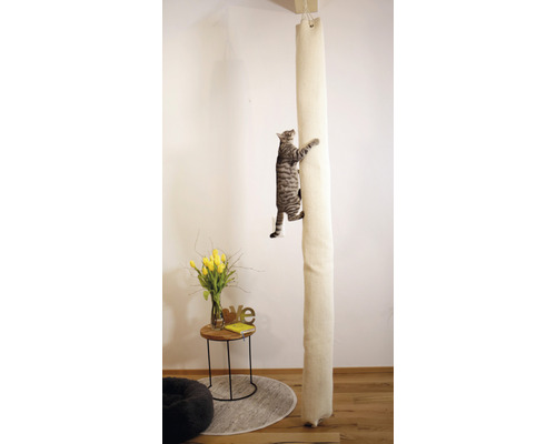 Katze klettert an einem deckenhohen Kratzbaum in einem Wohnzimmer.