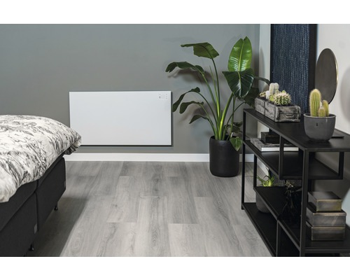 Wohnzimmer mit Heizkörper, Bett, Pflanze und Regal