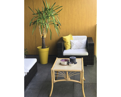 Balkonszene mit Rattanmöbeln, Kissen und einer Topfpflanze.