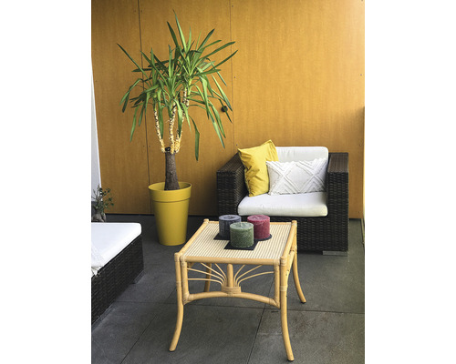 Dekorierter Balkon mit Korbsessel, Pflanze und Tisch