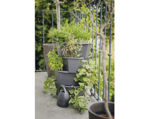 Mehrstöckiger Kräutergarten mit Kräutern und Gießkanne auf einem Balkon
