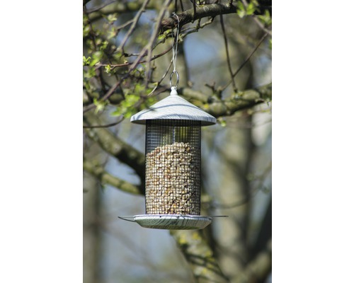 Vogelfutterspender mit Aufhängung an einem Baum