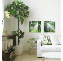 Wohnzimmer mit Wandbildern mit Waldmotiven, Pflanze und Sofa