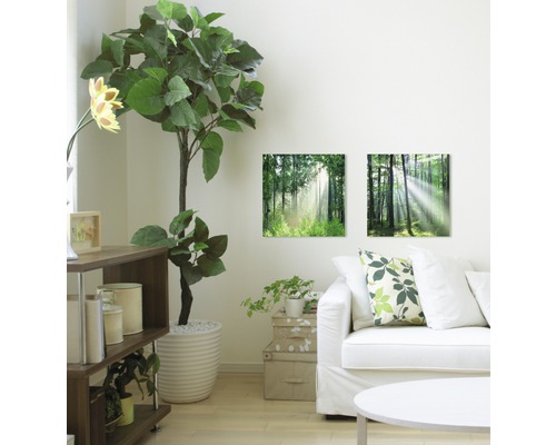 Wohnzimmer mit Wandbildern mit Waldmotiven, Pflanze und Sofa