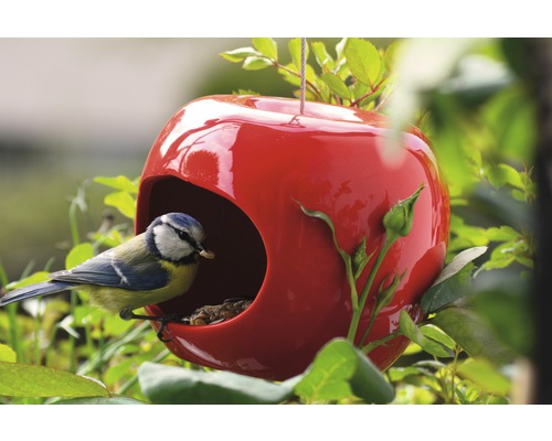 Apfelförmiges Vogelhaus mit Blaumeise