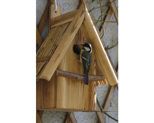Vogelhaus aus Holz mit Meise