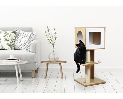Katze auf einem Katzenkratzbaum mit Höhle und Sisalstämmen in einem hellen Wohnzimmer