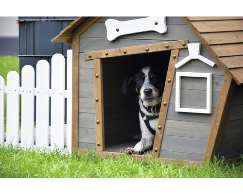 Hund in Hundehütte neben weißem Zaun auf Rasen