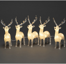 Fünf leuchtende Rentierfiguren als Weihnachtsdekoration