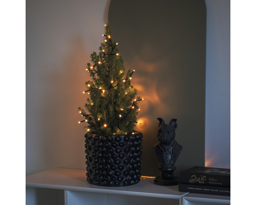 Dekorativer Nadelbaum mit Lichterkette in einem Topf