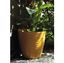 Pflanztopf Lafiora Tuberose Ø 30,3 x H 28,8 cm gelb