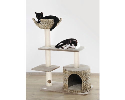 Katzenkratzbaum mit mehreren Ebenen und zwei Katzen