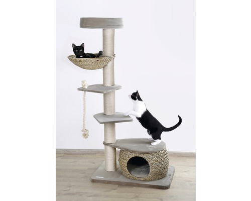 Katzenkratzbaum mit zwei Katzen