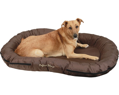 Hund liegt in einem braunen Hundebett