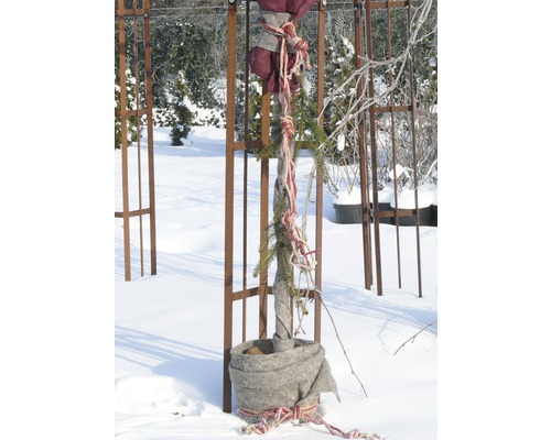 Eingepflanzter Baum mit Winterschutz in schneebedecktem Garten