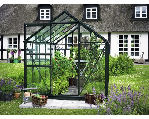 Gewächshaus im Garten mit Pflanzen und Gartenzubehör.