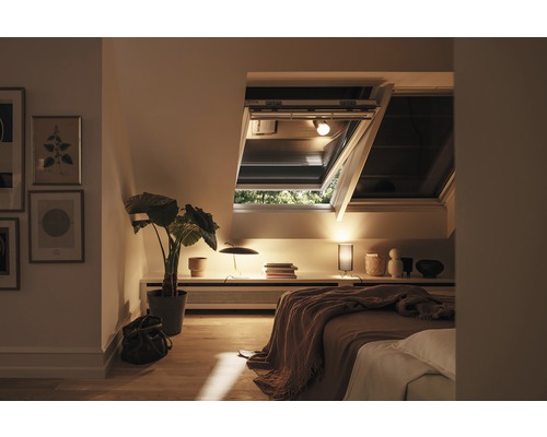 Gemütliches Schlafzimmer mit Dachfenstern für natürliches Licht und Belüftung.