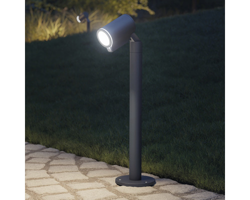 Garten mit Pollerleuchte zur Beleuchtung von Wegen und Pflanzen