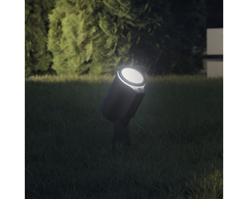 Gartenstrahler zur Rasenbeleuchtung