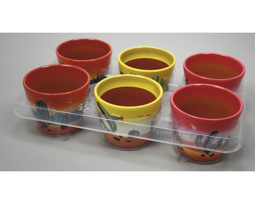 Sechs bemalte Blumentöpfe in einer transparenten Kunststoffverpackung