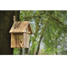 Holz Vogelhaus an einem Baumstamm befestigt