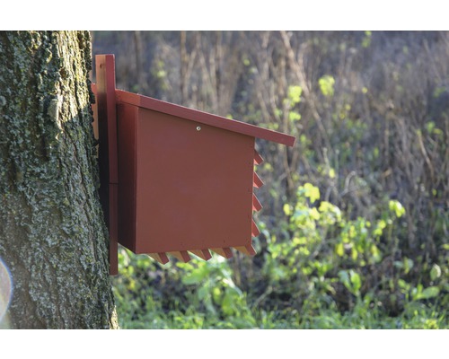 Ein rotes Vogelhaus ist an einem Baum befestigt.