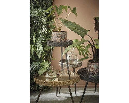 Dekorative Pflanzenständer mit Pflanzen und Glasvasen in einem Wohnraum arrangiert.