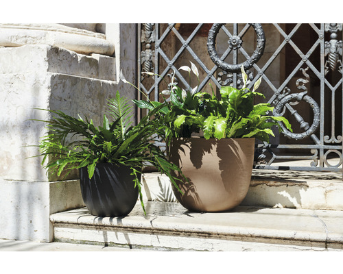 Zwei Pflanzgefäße mit Pflanzen auf einer Steintreppe vor einem verzierten Eisenzaun.