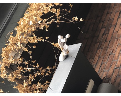 Windmesser auf einem Gebäude mit Ziegelmauer und Efeu