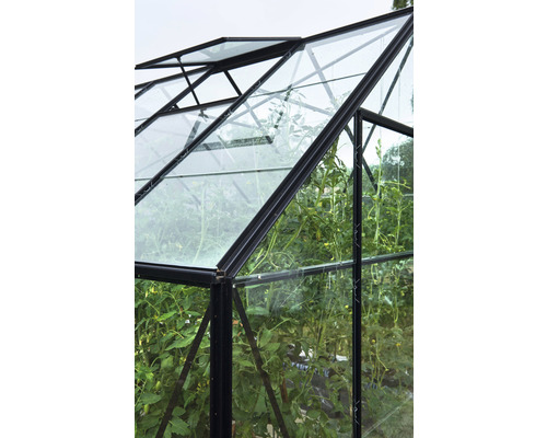 Detailansicht eines Gewächshauses mit geöffnetem Fenster und Pflanzen im Inneren.