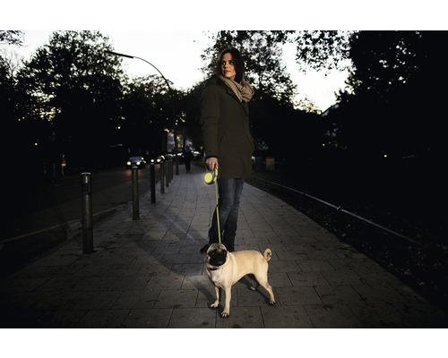 Frau geht mit Mops an einer Rollleine auf dem Bürgersteig spazieren.