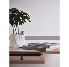 Dekoratives Zimmer mit Zimmerpflanze, zwei Büchern und einem Tisch
