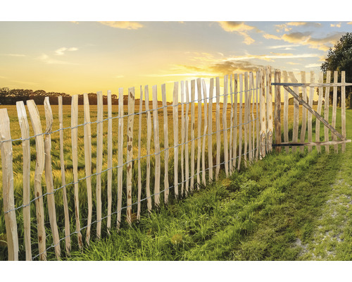 Holzzaun mit Tor im Feld