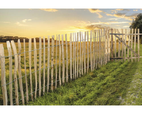 Holzzaun mit Tor im Feld