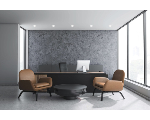 Büro mit Schreibtisch, Bürostuhl und Sesseln