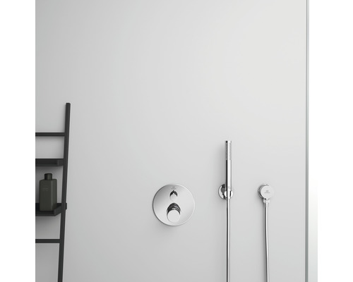 Aufputz Duscharmatur mit Handbrause und Ablageleiter im Badezimmer