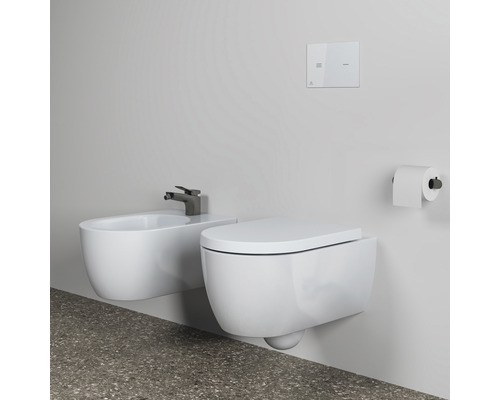 Wandhängendes Bidet und Toilette mit Betätigungsplatte und Toilettenpapierhalter im Badezimmer.
