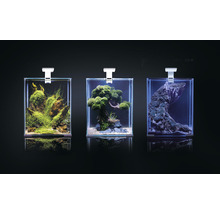 Aquarium Aquael Shrimp Set Day & Night 10 inkl. LED-Beleuchtung, Filter, Heizer, ohne Unterschrank schwarz ca. 10 l, ca. 20 x 20 x 25 cm mit Lampe Höhe ca. 35 cm
