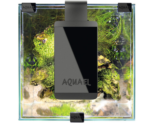 Aquarium mit LED-Beleuchtung und Pflanzen