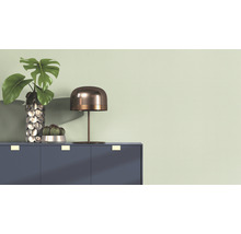 Dekoratives Stillleben auf einem Schrank mit einer Tischleuchte, einer Monstera-Pflanze in einer Vase und einem Kaktus in einem Topf