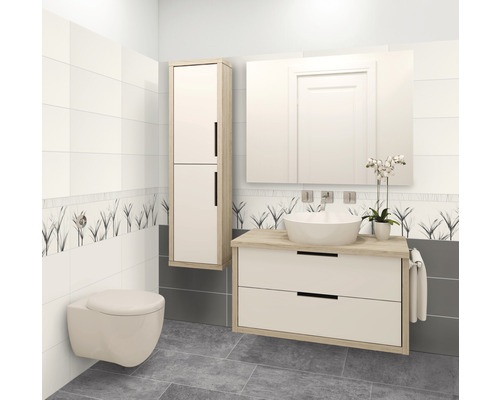 Badezimmer mit Wandtoilette, Waschtisch mit Aufsatzwaschbecken, Spiegelschrank und Hochschrank