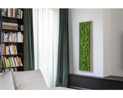 Moosbild an einer Wand in einem Wohnzimmer
