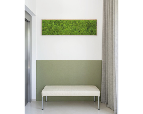 Innenraum mit Moosbild an der Wand, Sitzbank und Vorhang